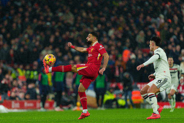 陈幸同的正 陈幸同的正