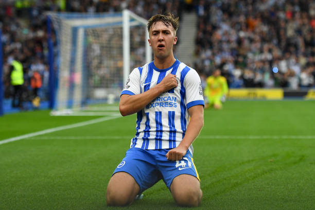 奠定了坚实 奠定了坚实