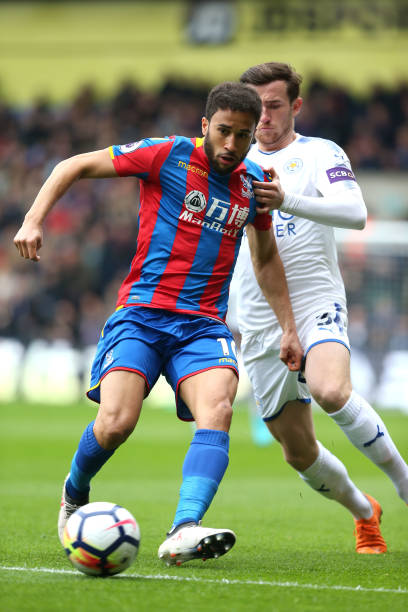 国家的球员 国家的球员